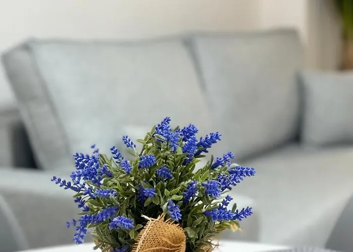 Appartement Iii Apolo 7