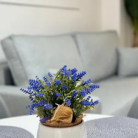 Apartment Iii Apolo 7